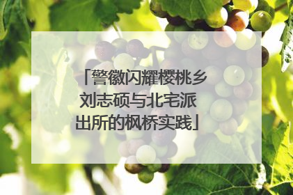 警徽闪耀樱桃乡 刘志硕与北宅派出所的枫桥实践