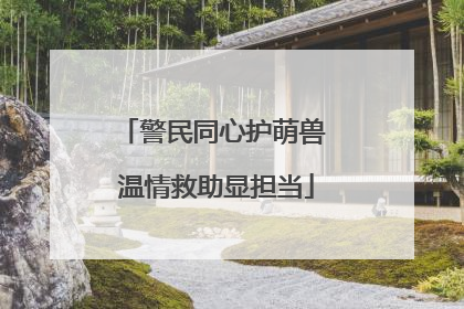 警民同心护萌兽 温情救助显担当
