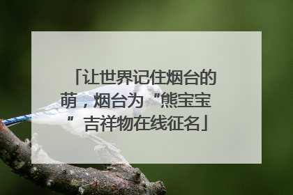 让世界记住烟台的萌，烟台为“熊宝宝”吉祥物在线征名