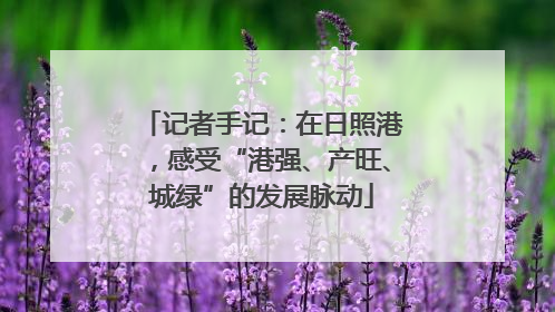 记者手记：在日照港，感受“港强、产旺、城绿”的发展脉动