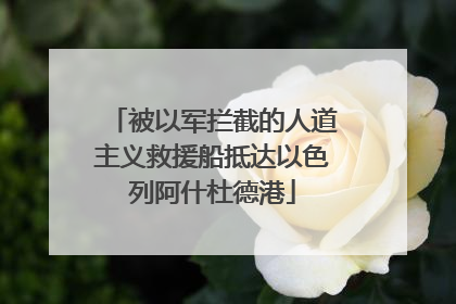 被以军拦截的人道主义救援船抵达以色列阿什杜德港