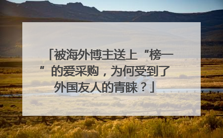 被海外博主送上“榜一”的爱采购，为何受到了外国友人的青睐？