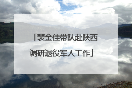 裴金佳带队赴陕西调研退役军人工作