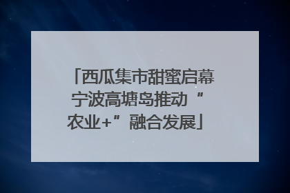 西瓜集市甜蜜启幕 宁波高塘岛推动“农业+”融合发展