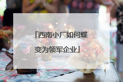 西南小厂如何蝶变为领军企业