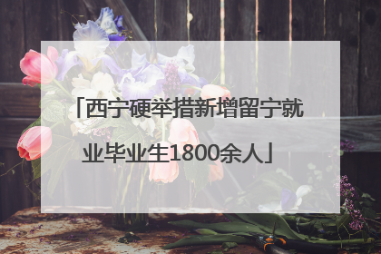 西宁硬举措新增留宁就业毕业生1800余人