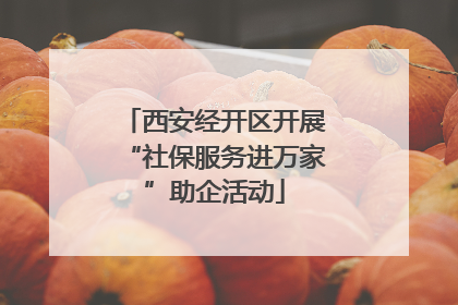 西安经开区开展“社保服务进万家”助企活动
