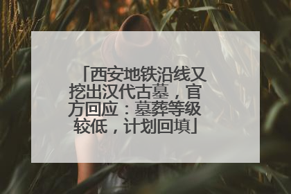 西安地铁沿线又挖出汉代古墓，官方回应：墓葬等级较低，计划回填
