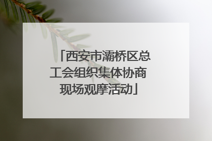 西安市灞桥区总工会组织集体协商现场观摩活动