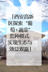 西安高新区探索“葡萄+蔬菜”套种模式 实现生态与效益双赢