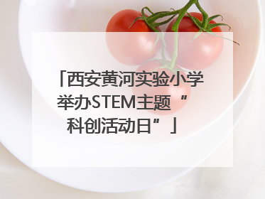 西安黄河实验小学举办STEM主题“科创活动日”