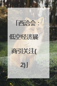 西洽会：低空经济展商引关注(2)