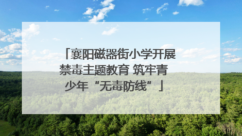 襄阳磁器街小学开展禁毒主题教育 筑牢青少年“无毒防线”