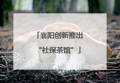 襄阳创新推出“社保茶馆”