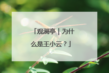 观澜亭｜为什么是王小云？