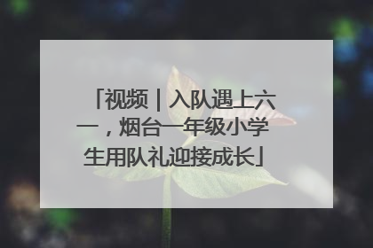 视频｜入队遇上六一，烟台一年级小学生用队礼迎接成长