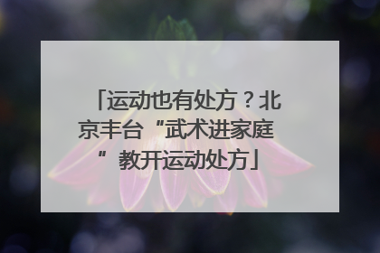 运动也有处方？北京丰台“武术进家庭”教开运动处方