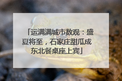 运满满城市数观：盛夏将至，石家庄甜瓜成东北餐桌座上宾