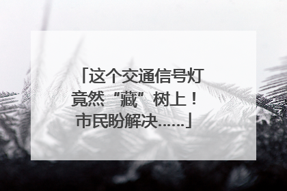 这个交通信号灯竟然“藏”树上！市民盼解决……