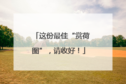 这份最佳“赏荷图”，请收好！