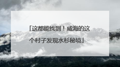 这都能找到！威海的这个村子发现水杉秘境