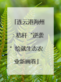 连云港海州：秸秆“逆袭”绘就生态农业新画卷