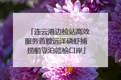 连云港边检站高效服务首艘远洋磷虾捕捞船靠泊赣榆口岸