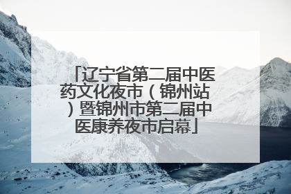 辽宁省第二届中医药文化夜市（锦州站）暨锦州市第二届中医康养夜市启幕
