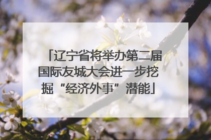 辽宁省将举办第二届国际友城大会进一步挖掘“经济外事”潜能