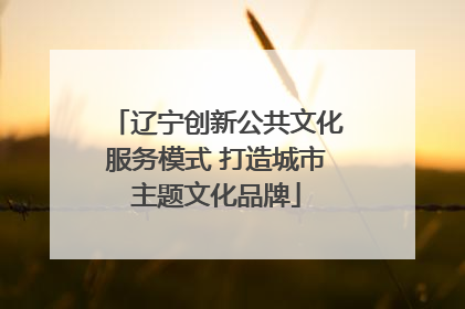 辽宁创新公共文化服务模式 打造城市主题文化品牌
