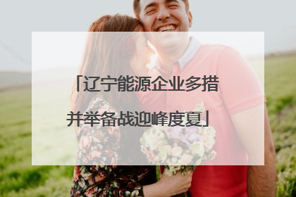 辽宁能源企业多措并举备战迎峰度夏