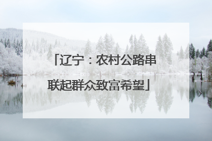 辽宁：农村公路串联起群众致富希望