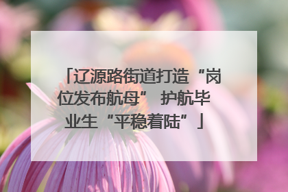辽源路街道打造“岗位发布航母” 护航毕业生“平稳着陆”