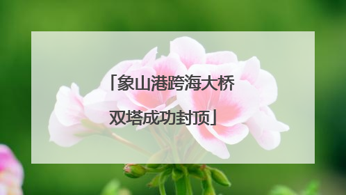 象山港跨海大桥双塔成功封顶