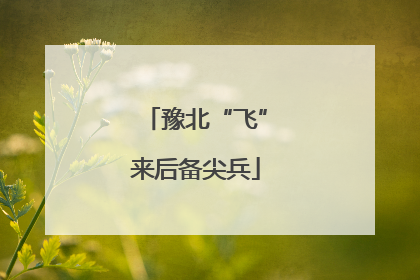 豫北“飞”来后备尖兵