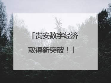 贵安数字经济取得新突破！