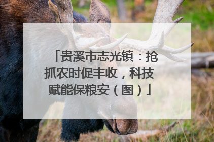 贵溪市志光镇：抢抓农时促丰收，科技赋能保粮安（图）