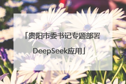 贵阳市委书记专题部署DeepSeek应用
