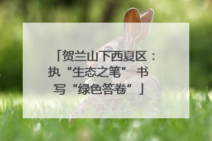 贺兰山下西夏区：执“生态之笔” 书写“绿色答卷”