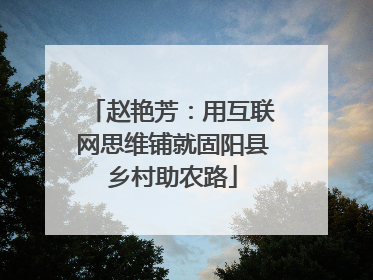 赵艳芳：用互联网思维铺就固阳县乡村助农路