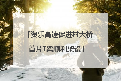资乐高速促进村大桥首片T梁顺利架设