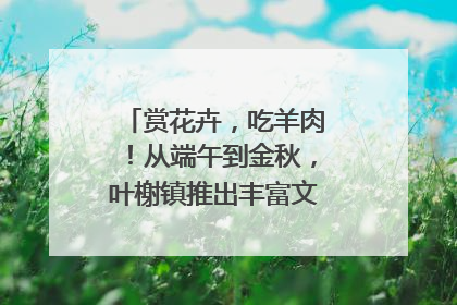 赏花卉，吃羊肉！从端午到金秋，叶榭镇推出丰富文旅活动邀您爽玩