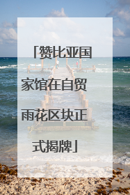 赞比亚国家馆在自贸雨花区块正式揭牌