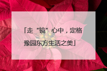 走“镜”心中，定格豫园东方生活之美