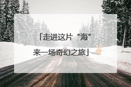 走进这片“海”来一场奇幻之旅