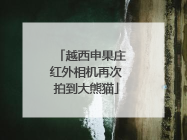 越西申果庄红外相机再次拍到大熊猫