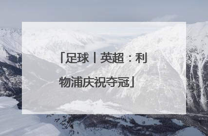 足球丨英超：利物浦庆祝夺冠