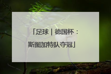 足球｜德国杯：斯图加特队夺冠
