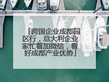 跨国企业成都园区行，意大利企业家忙着加微信，看好成都产业优势