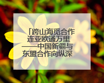跨山海觅合作 连亚欧通万里——中国新疆与东盟合作向纵深突破观察